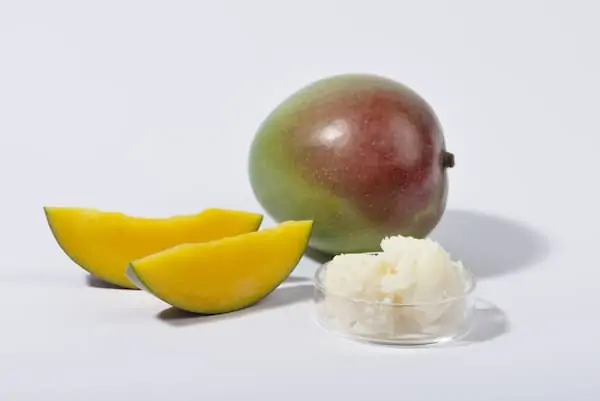 Mango butter and fresh mango fruit and mango slices